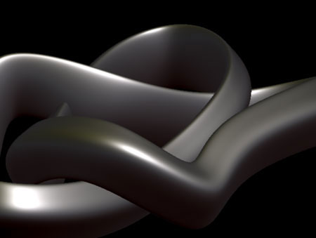 Study model