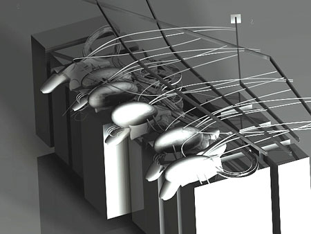 digital form