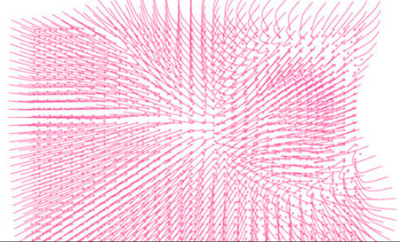 dynamic filed