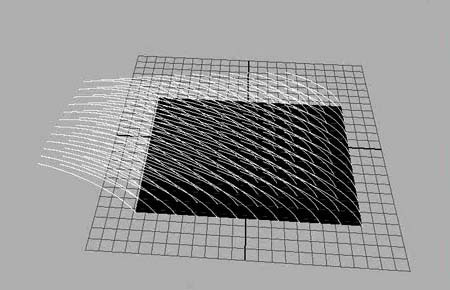 Dynamic fields
