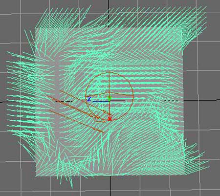 Dynamic fields