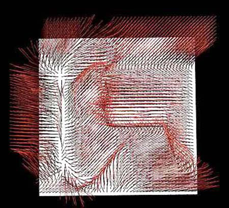 Dynamic fields