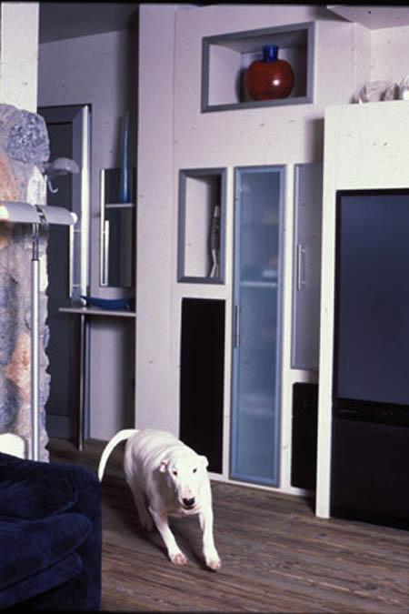 Interior view with dog